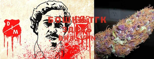 гидропоника Алзамай