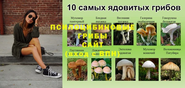 гидропоника Алзамай