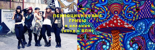 гидропоника Алзамай