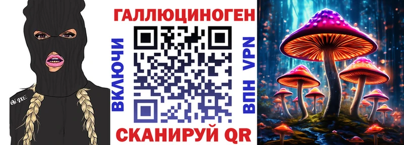 сколько стоит  Змеиногорск  Псилоцибиновые грибы Cubensis 